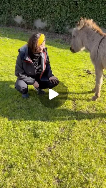 Couverture de la vidéo de @la_campagna_di_francesca